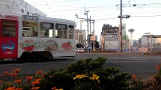 函館市電　Japan Hakodate City Tram ( Street Car ) 724 with Goryokaku Tower