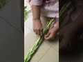 diy lucky bamboo setting pleating lucky bamboo