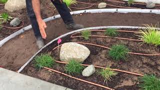 Rain Bird Drip Irrigation for beginners | Enviroscape L.A.