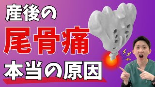 産後から続く尾てい骨の痛みの原因が意外だった… | 大阪府 高槻市 ユーカリ整体院