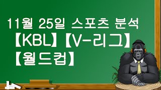 11월 25일 KBL.V-리그.월드컵.분석