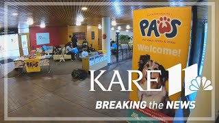 PAWS program celebrates 10th year at U of M