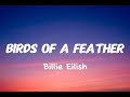 Billie Eilish - BIRDS OF A FEATHER (Lyrics)