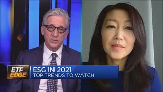 Defining ESG: Why Apple and Microsoft show up in the biggest ETFs