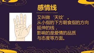 006 五大线纹_无为子掌纹手相的运密码