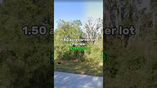 1.50 acre corner lot for sale in Florida for $159,000. #realestate #fyp #foryou #florida