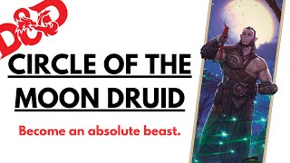 The Moon Druid Is Wild... And It's All Thanks To The New Monster Manual (D\u0026D 5e/5.5e)