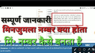 मिनजुमला नम्बर क्या होता है/मिलजुमला नम्बर कैसे बनता है/मिं• खेत या बटा खेत क्या होता है