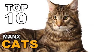 TOP 10 MANX CATS BREEDS