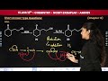 amines short questions type 3 que. 51 to 65 class 12 chemistry chapter 13 ncert exemplar