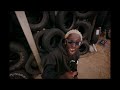 Feeligram - Douloureux ( Clip Officiel ) Feat. Tanos Beats