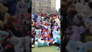 Fursuit Walk Masopust - Group photo (18.2.2023)