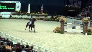 HorseJunkiesUnited.com - Aaron Vale and Wodka L clear 6ft9 WIHS Puissance