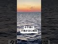 水平線に夕日が沈む瞬間