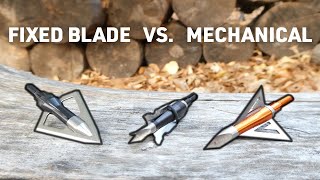 Fixed Blade Vs Mechanical Broadheads Which Is Best