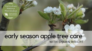 Early Season Apple Tree Care