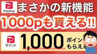 PayPayの激アツ新機能‼︎さらに1000pも…