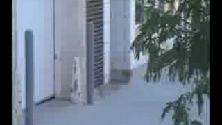 Walking Tour of Downtown Omaha Nebraska - Part 3