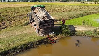 Start incredible new PROJECT! Power machinery, dump trucks \u0026 dozer turn bumpy road to smooth once