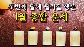 [타로카드] 1월 운세 🧞 2022년 첫번째 달에 있을 행운