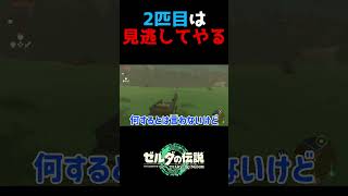 暴走リンク君　#ゲーム実況  　#ティアキン 　#ゼルダの伝説