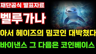 [벨루가나]아서 헤이즈의 밈코인 이렇게 대박을 친다고?! 역대급 사전판매 드디어 종료! 바이낸스 그리고 코인베이스 상장빔 가자!