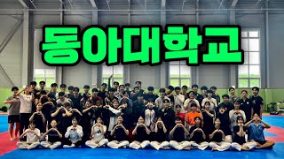 마! 이게 태권도다 | 부산 태권도 명문팀 동아대학교 합동훈련 | 태권도 겨루기 훈련 브이로그🥋