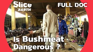 Wildlife Viruses in Gabon: The Hidden Risks of Bushmeat Consumption | SLICE EARTH l FULL DOCUMENTARY