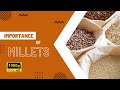 The Importance of Millets: A Nutritious and Sustainable Grain for the 21st Century