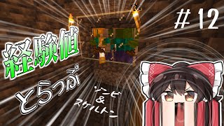 【Minecraft】いたって普通のマインクラフト　part12　【ゆっくり実況】