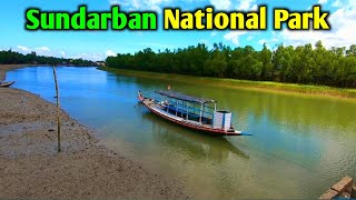 The Last Forest Island of India | Sundarban Forest Island