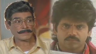 Allari Alludu Movie Mind Blowing Scenes Back To Back | TFC Telugu Cinemalu