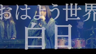 【オンライン渋楽祭2020】おはよう世界「白日 [short ver.] 」(King Gnu cover)