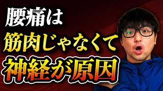 腰痛の原因は筋肉じゃなくて神経だった！？