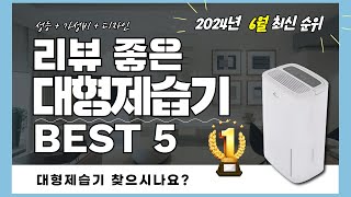 실사용자 리뷰 좋은 Best 5 대형제습기 추천 (2024년)