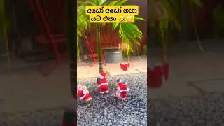 අඩෝ අඩෝ ගහා යට ඉන්න එකා මොකද කරන්නේ 😁🤣 #viralvideo #shorts #ytshorts