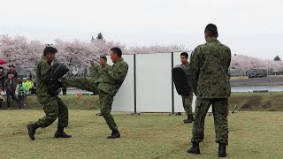 【宇都宮駐屯地祭2015】 格闘演武 (CQC)