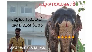 വട്ടമൺകാവ് മണികണ്ഠൻ /vattamankavu manikandan /ELEPHANT #elephant   #kollam #AJAGAJANTHARAMmedia