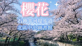 Cherry blossom of Shakuji riverside | 石神井川お花見