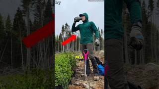 Menanam 23.000 pohon dalam sehari❗🌱😲 #shorts #shortvideo