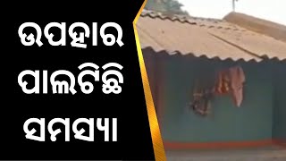 Koraput News | ମହାରାଜଙ୍କ ଉପହାର ଏବେ ପ୍ରଜାଙ୍କ ପାଇଁ ପାଲଟିଛି ସମସ୍ୟା । Odia News