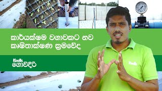 කාර්යක්ෂම වගාවකට නව කෘෂිතාක්ෂණ ක්‍රමවේද