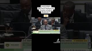 Paul O'Sullivan threatening a witness at Madlanga Commission