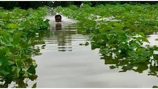 शेतकऱ्यांची व्यथा