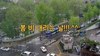 봄 비내리는 날!!! 주말 아침 영상입니다! ^^; 영상 보시며 힐링하세요!!!