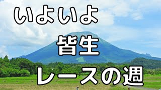 2022皆生トライアスロン　いよいよレースの週　アラフィフおっさんの現状　練習