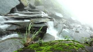 Bhagsu Falls, Mcleod Ganj