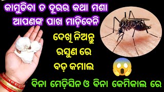 ବିନା ମେଡ଼ିସିନ୍ ରେ କେବଳ ରସୁଣରେ ଭଗାନ୍ତୁ ସବୁ ମଶା କାମୁଡିବା ତ ଦୂର ର କଥା ଆପଣଙ୍କ ପାଖ ମାଡିବେନି#kitchentips