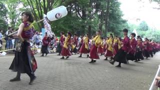 早稲田大学東京花火・第10回よさこい光が丘・2016年7月17日。