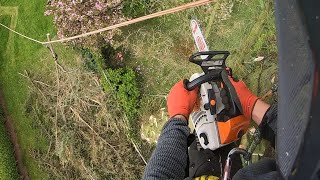 speed line technique 👌 #arborist #tree #stihl #climber #arboristsofinstagram #fyp #like